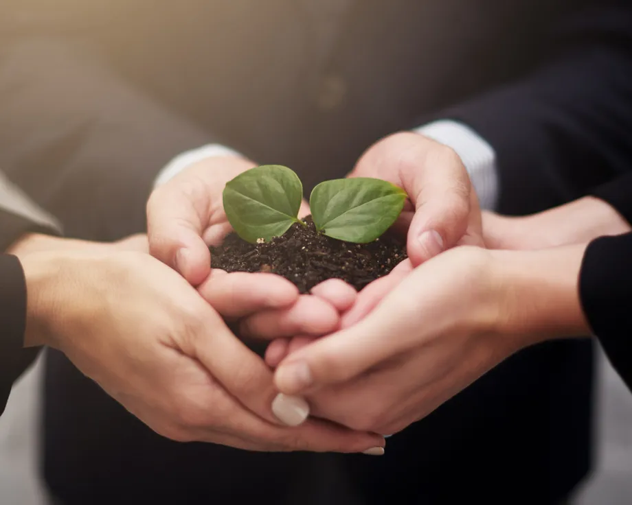 BMI fenntarthatóság